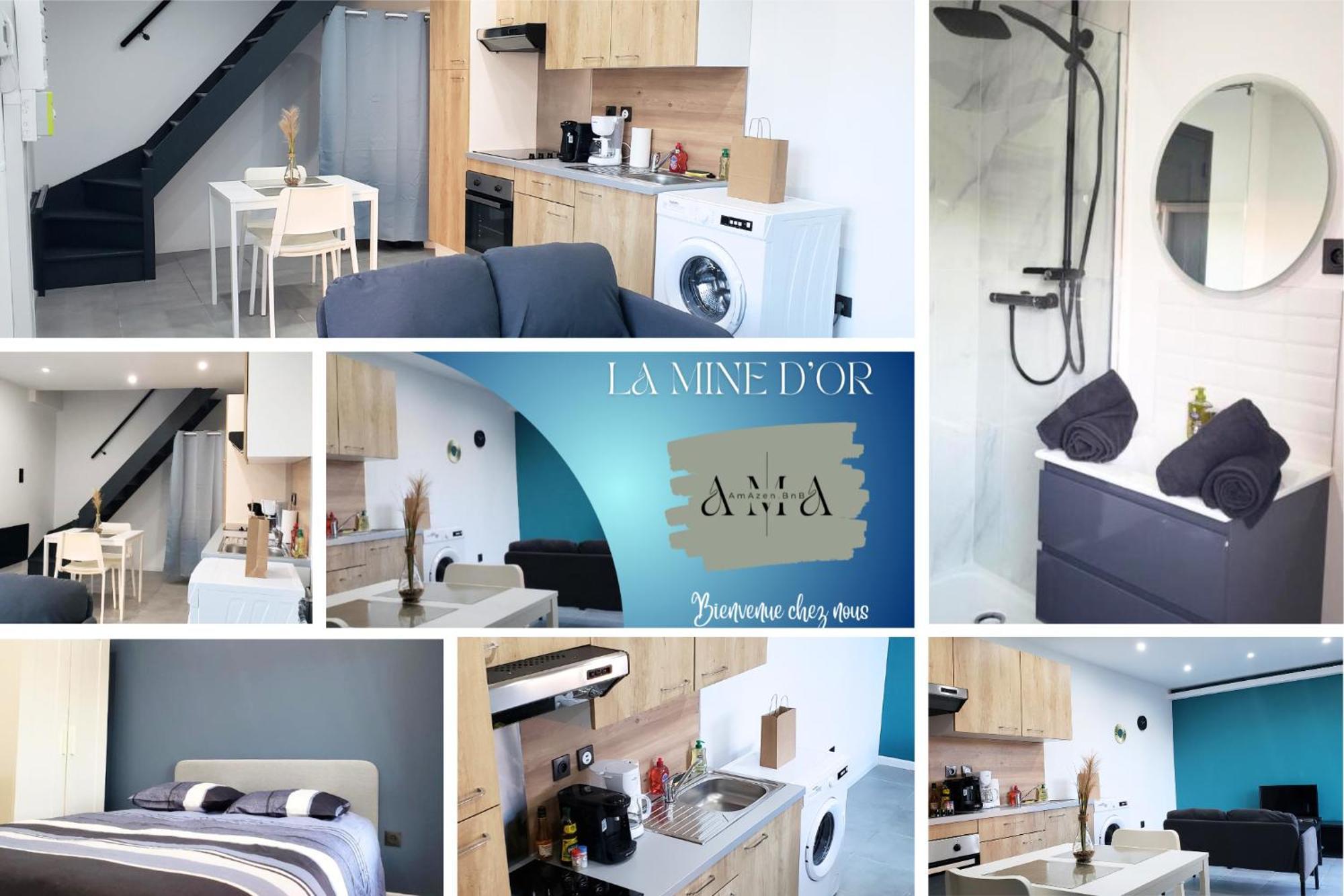 La Mine D'or - Wifi - Parking Prive Apartment